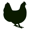 Aves Aves