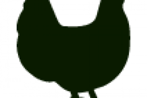 Seladora Manual Simples Seladora Manual Simples