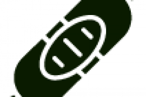 Seladora Manual Simples Seladora Manual Simples